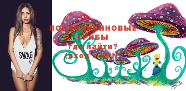 МДПВ Арсеньев